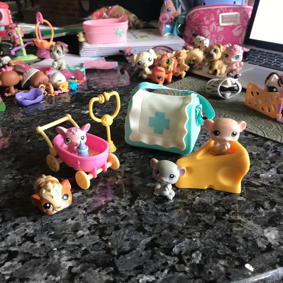 Littlest Pet Shops! - Picture 3 of 16